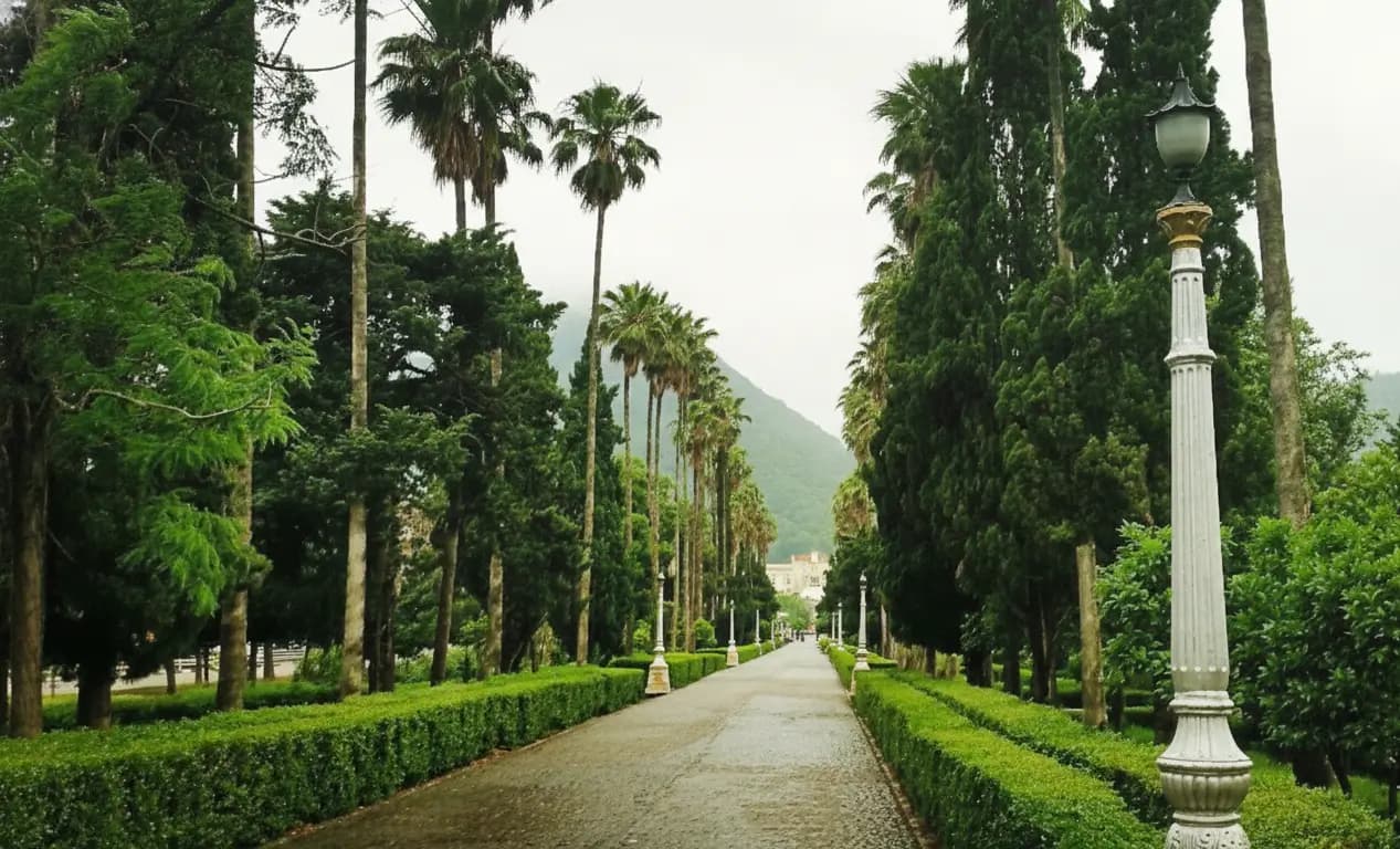 عکسی از شهر رامسر