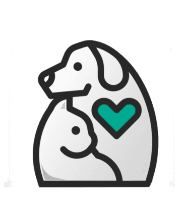 صفحه-آرشیو-پت پذیر