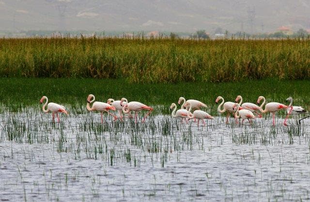 دیدنی‌های شمال ایران