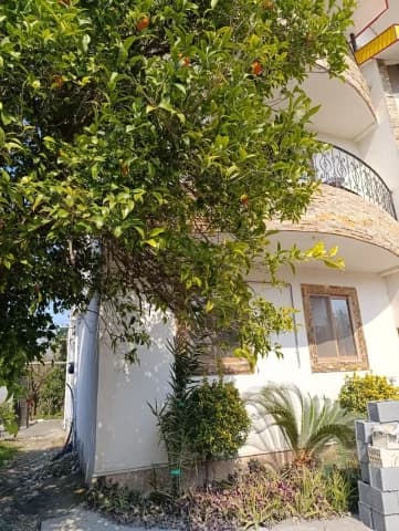 اجاره واحد دو خواب حیاط دار