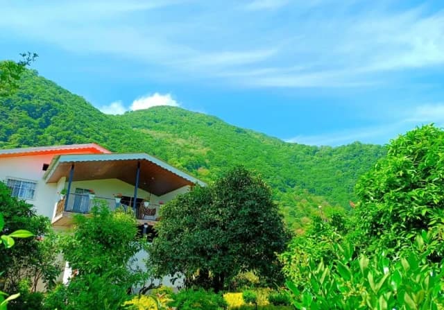 اجاره ویلای دوخوابه جنگلی خوش منظره