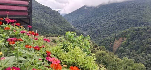 اجاره سوئیت اقتصادی دوخواب آرامش